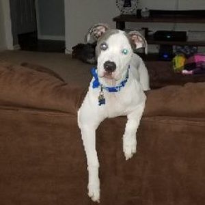 Meet your Posher, Keith